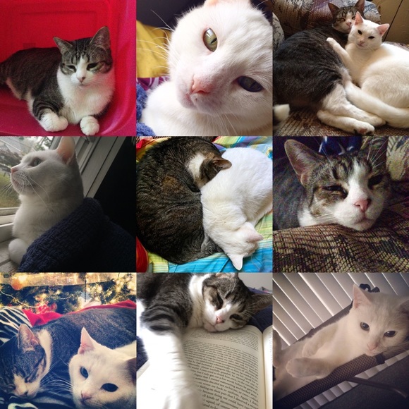 Meet Your Posher: Amanda - Picture 3 of 4